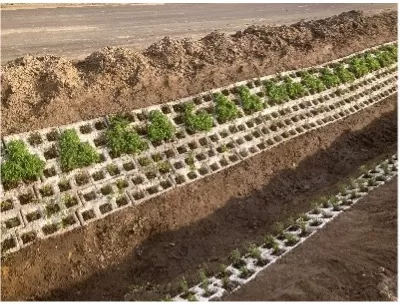 Biodiversiteit grond