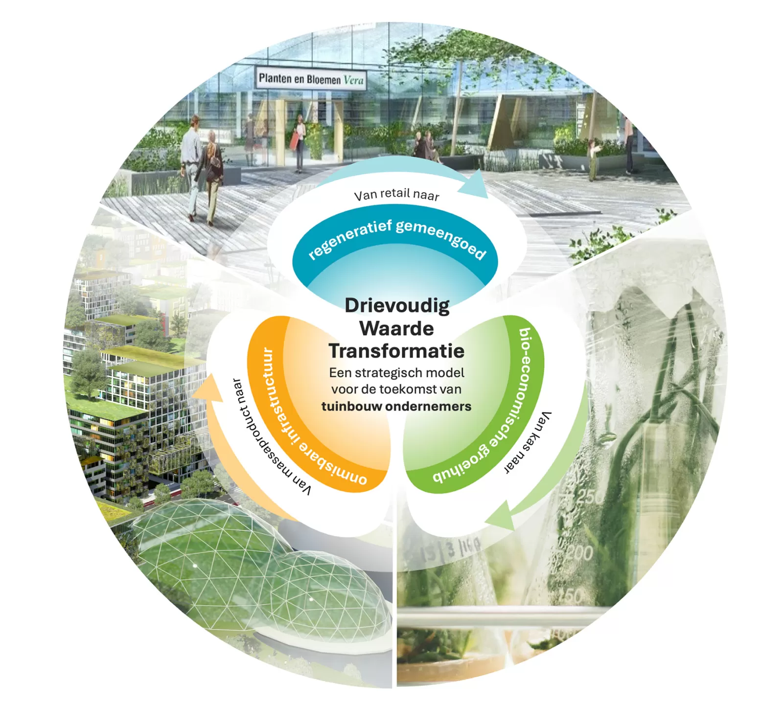Cirkel waardetransformatie 3